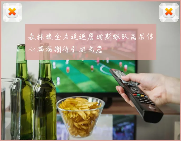 森林狼全力追逐詹姆斯球队高层信心满满期待引进老詹