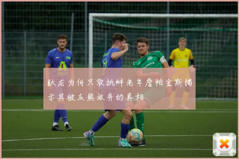 狄龙为何只敢挑衅老年詹帕金斯揭示其被灰熊放弃的真相